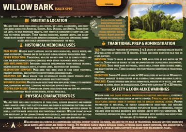 Card with information and a photo about Willow Bark