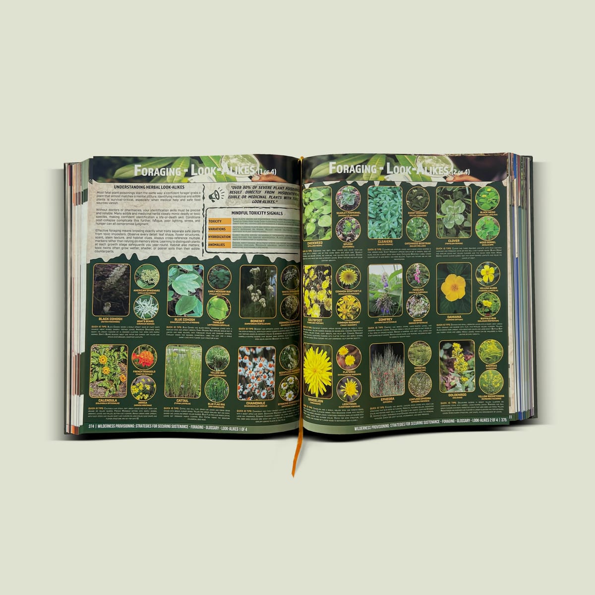 Beyond The Fall: Digital Edition