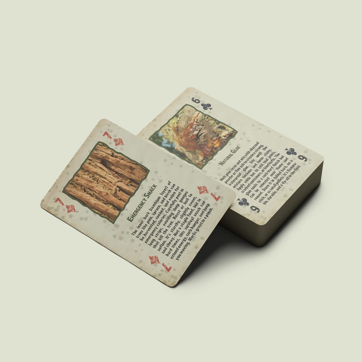 Survivor’s Deck Survivor’s Deck